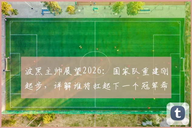 波黑主帅展望2026：国家队重建刚起步，详解谁将扛起下一个冠军希望